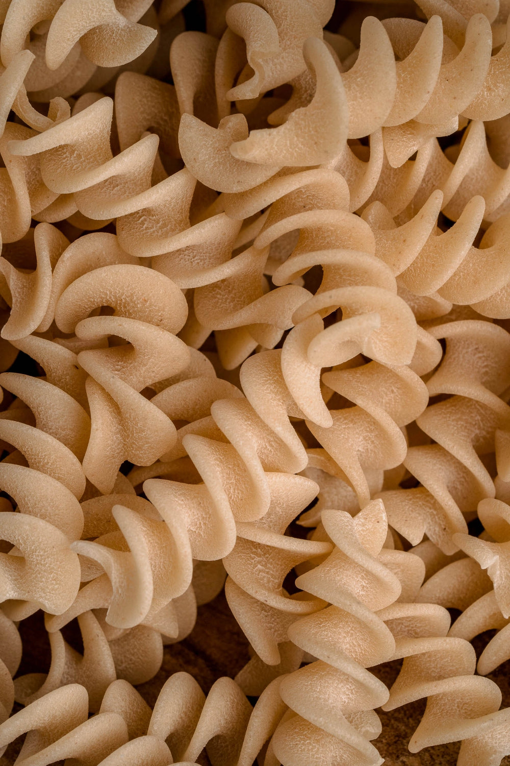 Northern Pasta Co. Fusilli Artisan British Spelt Pasta - 450g